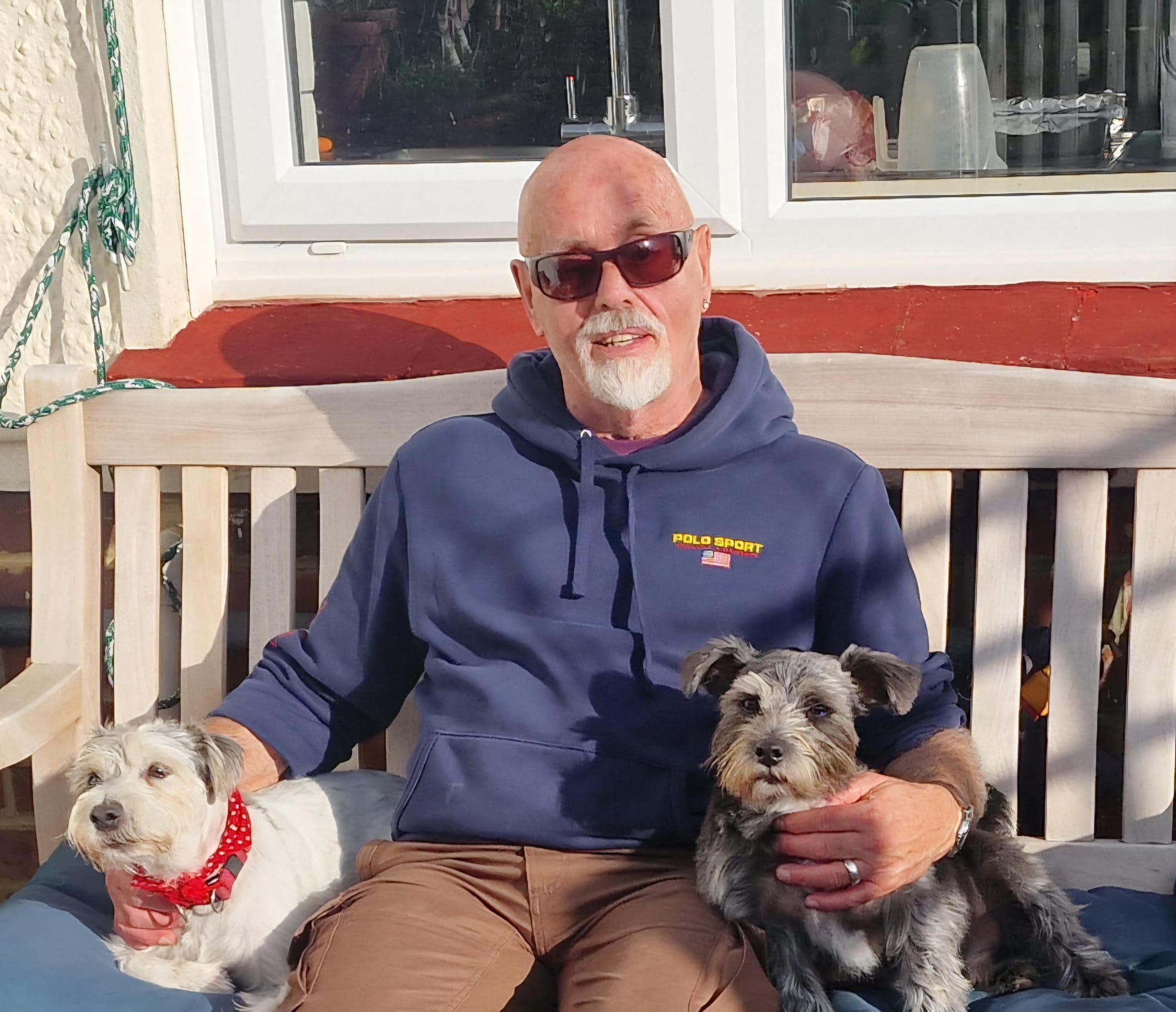 Older man with silver beard and sunglasses sits on outdoor bench wearing navy Polo Sport hoodie, holding two small terrier dogs—one white with red bandana, one grey—in sunny setting.