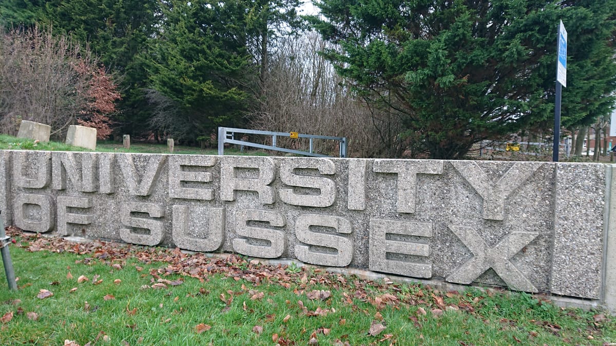 Greens speak out against formation of Reform UK student group at University of Sussex