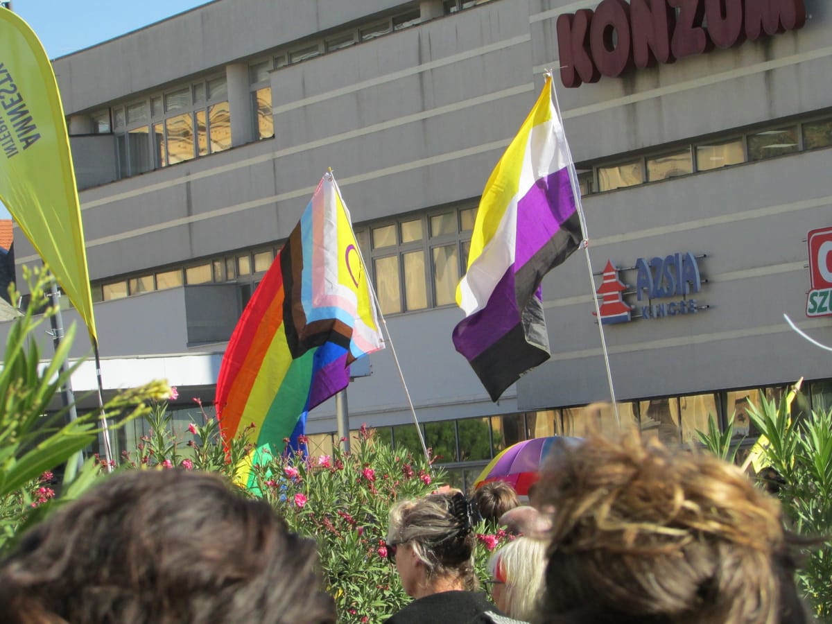 Pécs Pride organiser faces prison in Hungary's latest move against LGBTQ+ rights