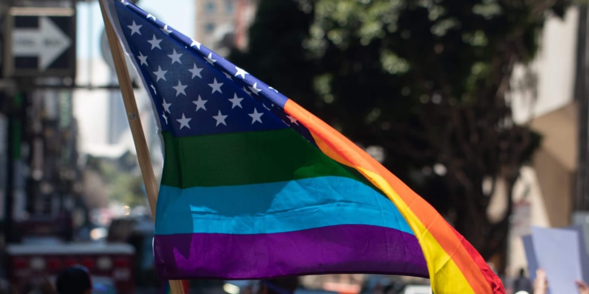 Georgia educator says she was forced out after telling pupil she is gay