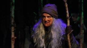 REVIEW: Into the Woods