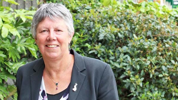 Greens announce full line-up of candidates for May local elections