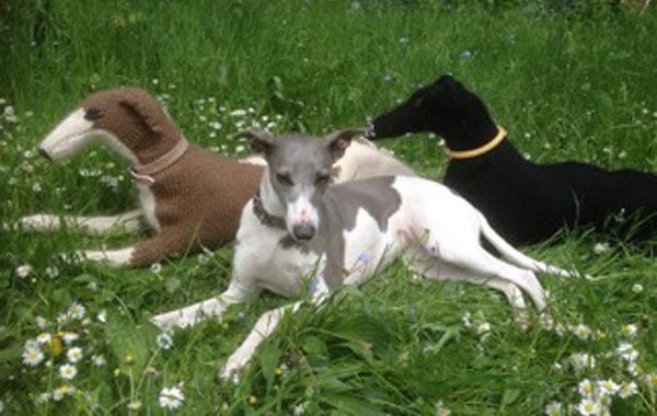 PREVIEW: Artists Open Houses in The Dog House