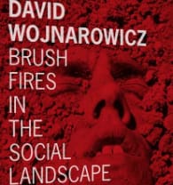 BOOK REVIEW: Brush Fires in the Social Landscape: David Wojnarowicz