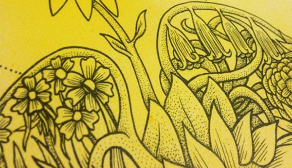 PREVIEW: ‘LUNGS’