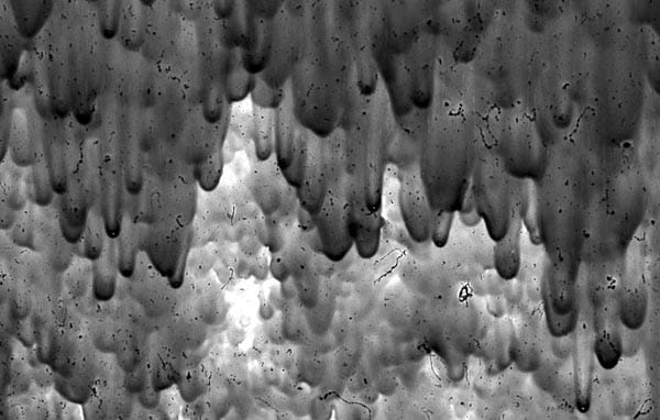 Needs Discussion – What do you think HIV looks like?