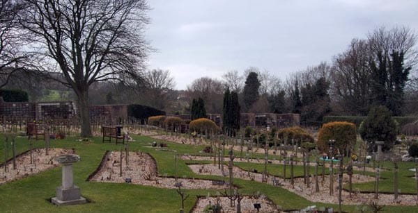 Dog walker collared for a second time