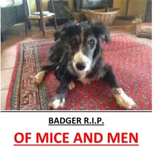 New LGBT rugby team make Brighton debut this weekend