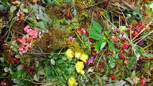 Demand grows for garden waste collection scheme