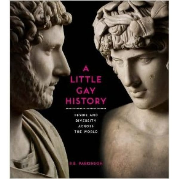 BOOK REVIEW: A Little Gay History: Desire and Diversity Across the World