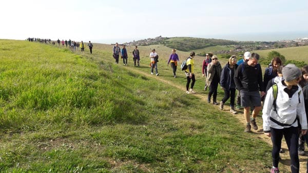 Brighton and Hove Way Association organise Stanmer Park clean up