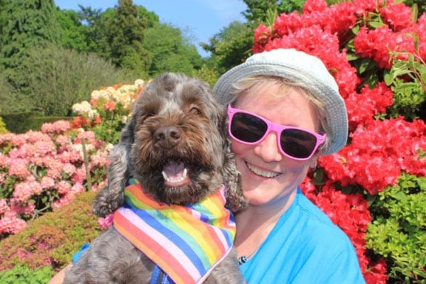 Stody Rainbow Party returns in May 2019