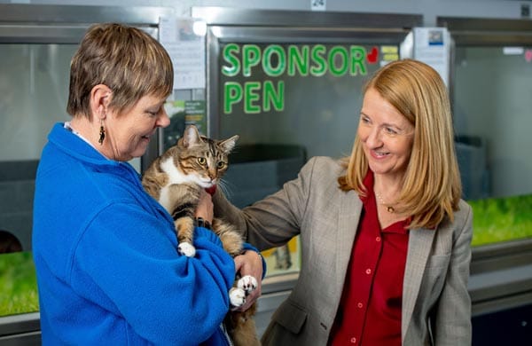 Cats Protection’s Paws Protect project receives PCC funding boost