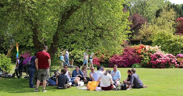 The Stody Rainbow Garden Party 2019