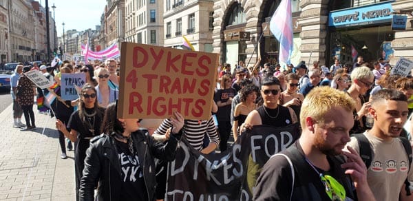 London celebrates inaugural Trans Pride