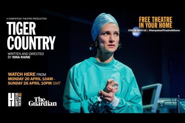 REVIEW: Hampstead Theatre streaming Tiger Country