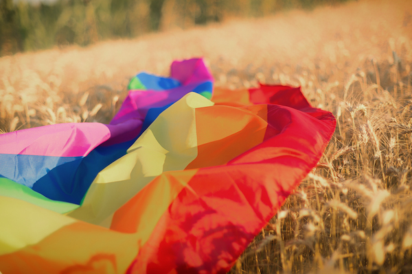 Research on gay men in rural communities