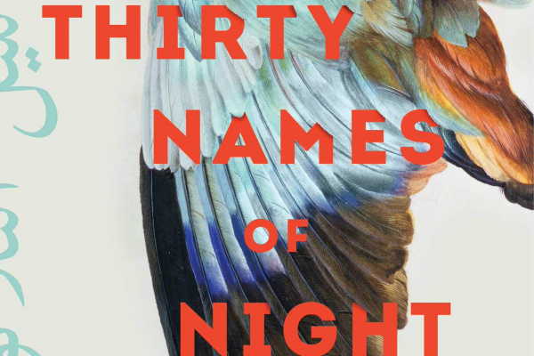 Book REVIEW:The Thirty Names of Night: A Novel Zeyn Joukhadar