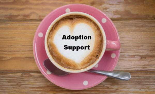 Online support platform for parents and carers of children affected by early childhood trauma has been given new name