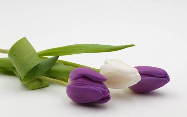 OneBodyOneFaith to host memorial service to remember and commemorate members of the LGBTQ+ community who have lost their lives to suicide and experienced harm