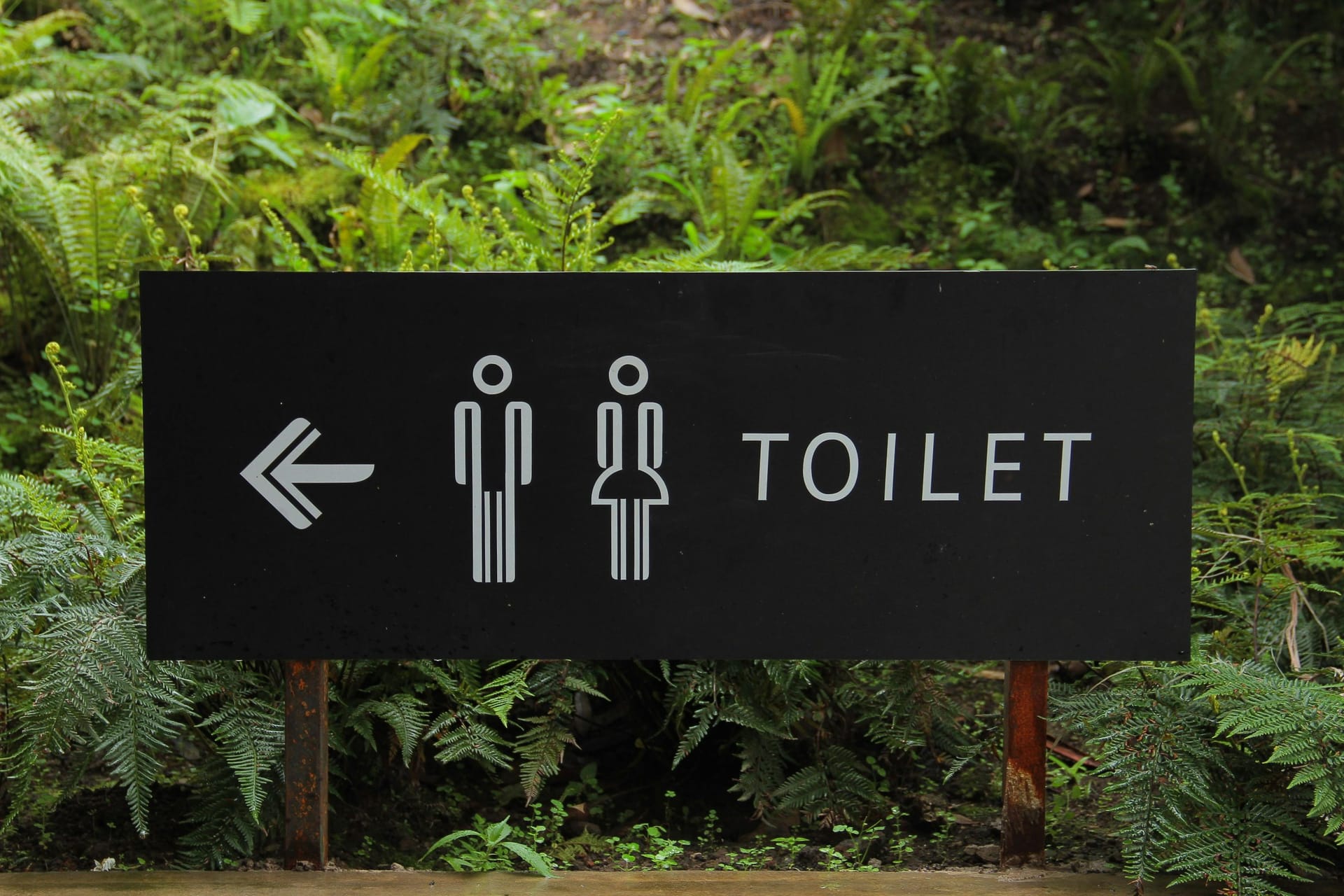 The Saturday Scene: The EHRC code of practice, the Amnesty report, and a decade of bathroom politics
