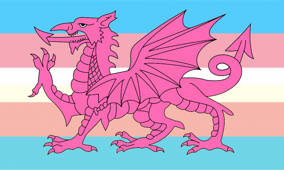 'Every trans person is a precious child of God’: Church in Wales vows continued welcome for trans people after EHRC draft 'guidance'