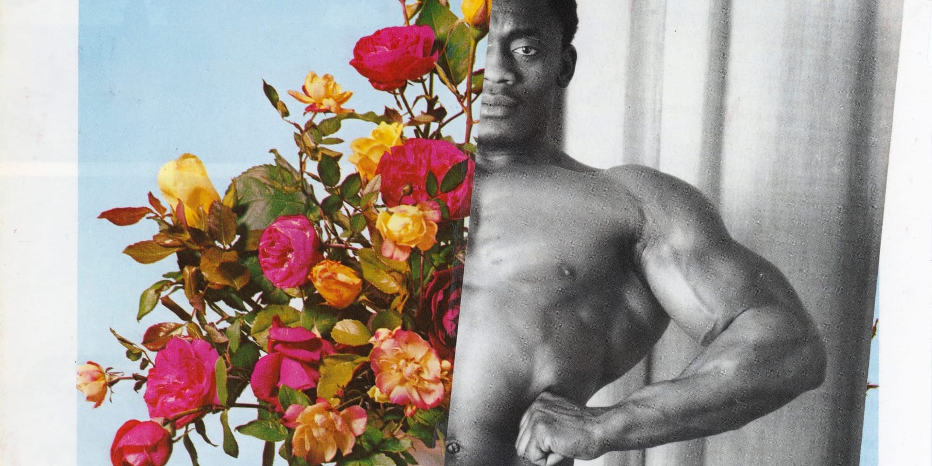 Queeriosities, the "UK's largest queer art fair",  returns to Peckham