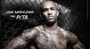 Boxer supports Peta anti fur campaign