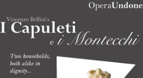 REVIEW: OperaUndone