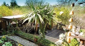 Sussex Beacon’s Garden Gadabout