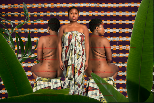 Queer/in/g Nature exhibition by Socially Engaged Art Salon at the Ledward Centre