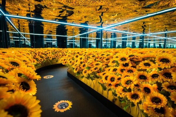 Refurbished Brighton Dome to reopen venues with world famous Van Gogh Alive exhibition