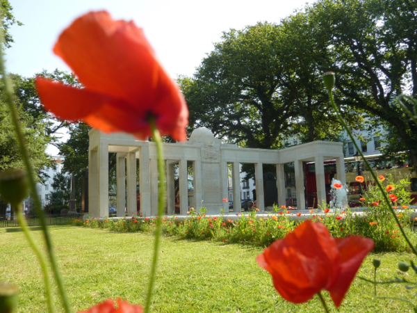 Brighton & Hove Remembrance events 2023