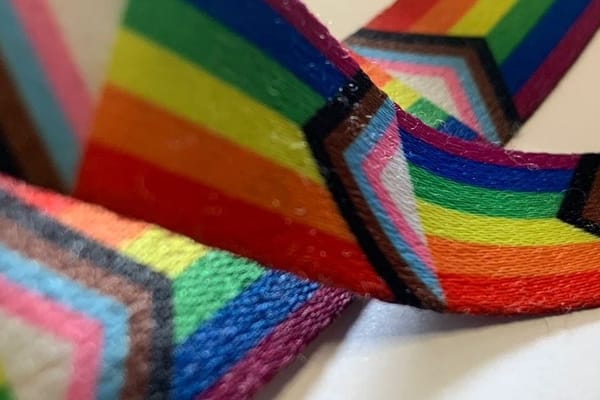 'Christian Institute' launches legal bid to ban civil service Pride participation and rainbow lanyards