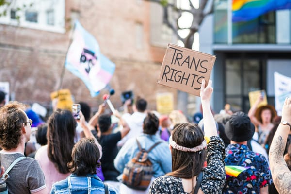 Brighton & Hove Green Party condemns "anti-immigration and anti-trans" social media posts by Labour's Queens Park by-election candidate