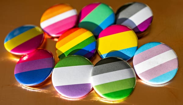 LGBTQ+ mental health charity MindOut joins forces with the Prince and Princess of Wales to help transform suicide prevention
