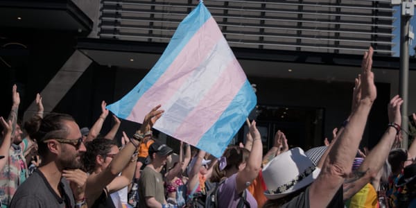 New Zealand to ban puberty blockers for trans youth