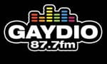 Gadio Radio partners with flagship Brighton gay venue