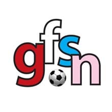 LGBT football fans voice concerns over Russian anti-gay bill