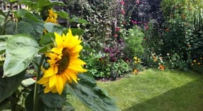 Hidden garden opens gate for charity this weekend