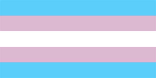 Trans activists concerned over voter registration process