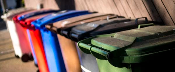 Greens call for council-run litter enforcement service
