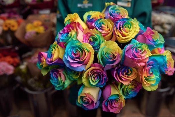 Morrisons’ support LGBT+ youth homelessness this Valentines with Rainbow Rose