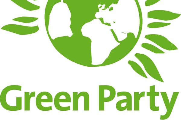 Greens urge Council to bypass water companies