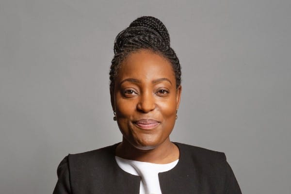 Labour equalities minister condemns Kathleen Stock’s association with the LGB Alliance