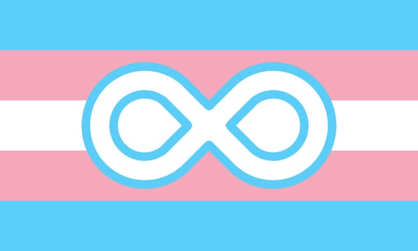 Gender Identity Research and Education Society commissioned to create online resource to support trans and gender diverse people with autism
