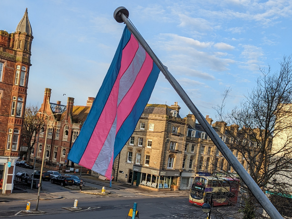 Brighton & Hove City Council flying trans flags from Hove and Brighton town halls in honour of Trans Day of Visibility