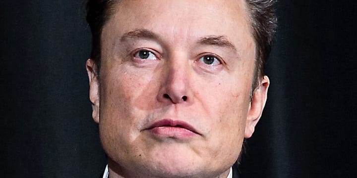 Elon Musk to seek full custody of son with Ashley St Clair after she apologises for anti-trans comments