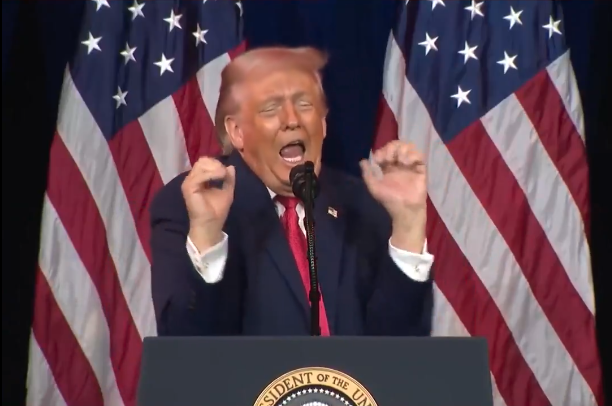 Donald Trump criticised for mocking trans athletes