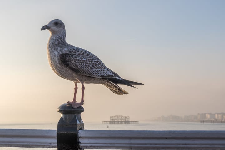 Brighton & Hove updates Community Safety Strategy - Have Your Say